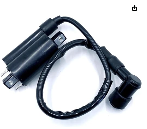 IGNITON COIL AND WIRE X300