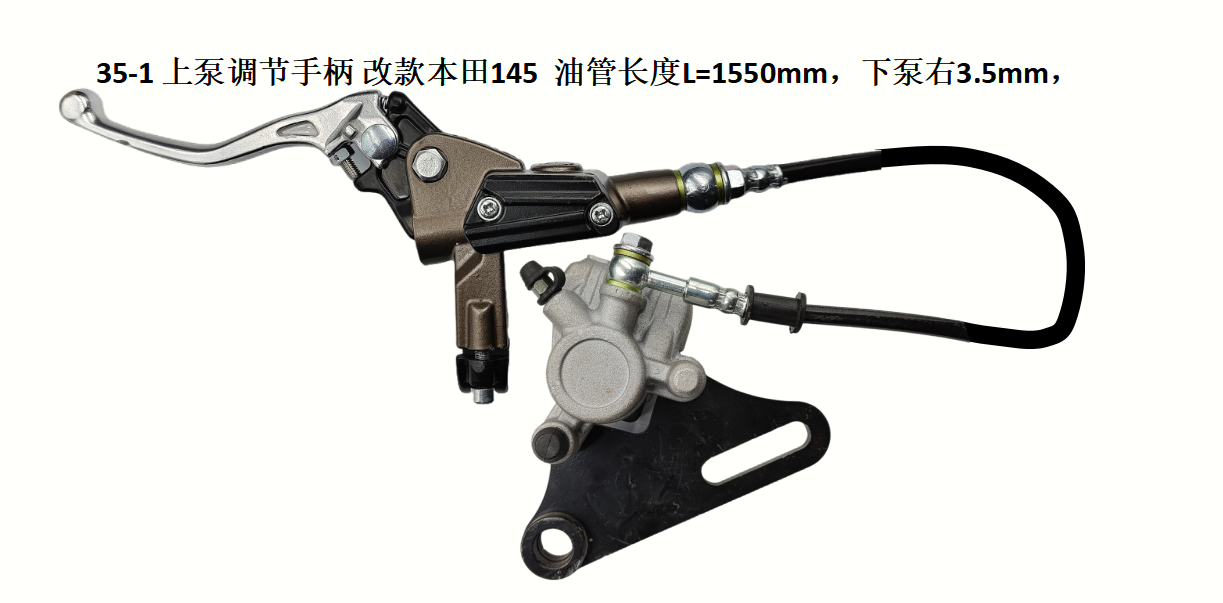 Rear brake complete assy. (lever, pump, tube and caliper)