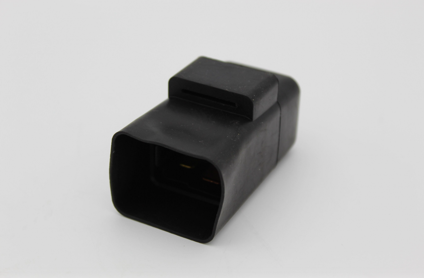 EFI Relay  600GT 400GT