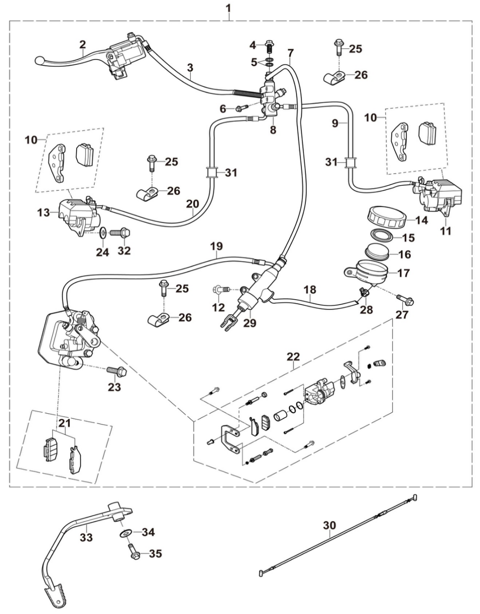 19 DISC BRAKE