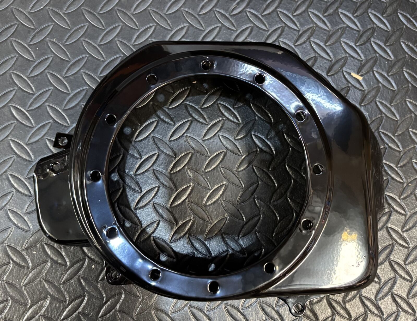 Engine Side Cover Assembly BLAZER 200R