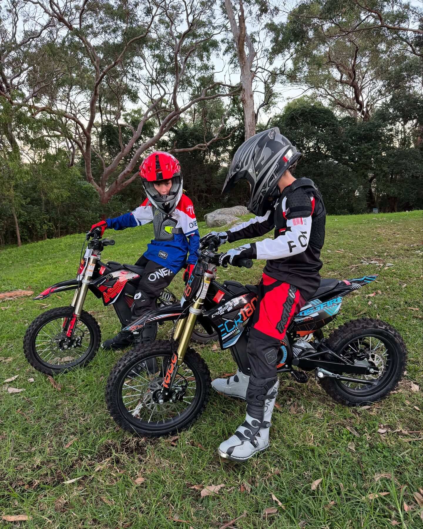 Electric Motorbikes