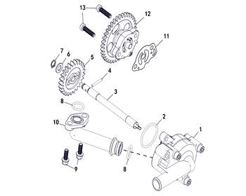 17 Oil Pump & Water Pump